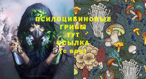 мяу мяу мука Вяземский
